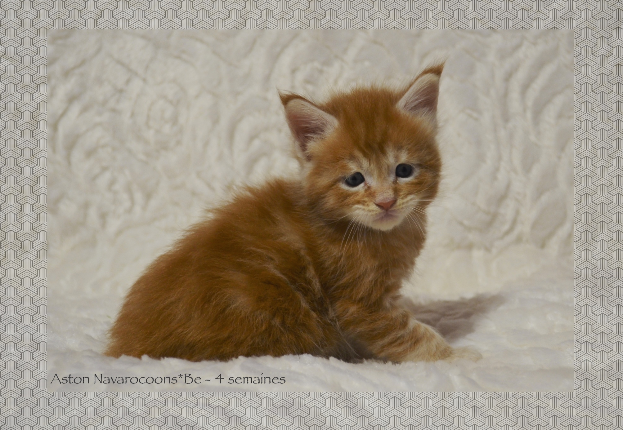 _DSC0053AAk