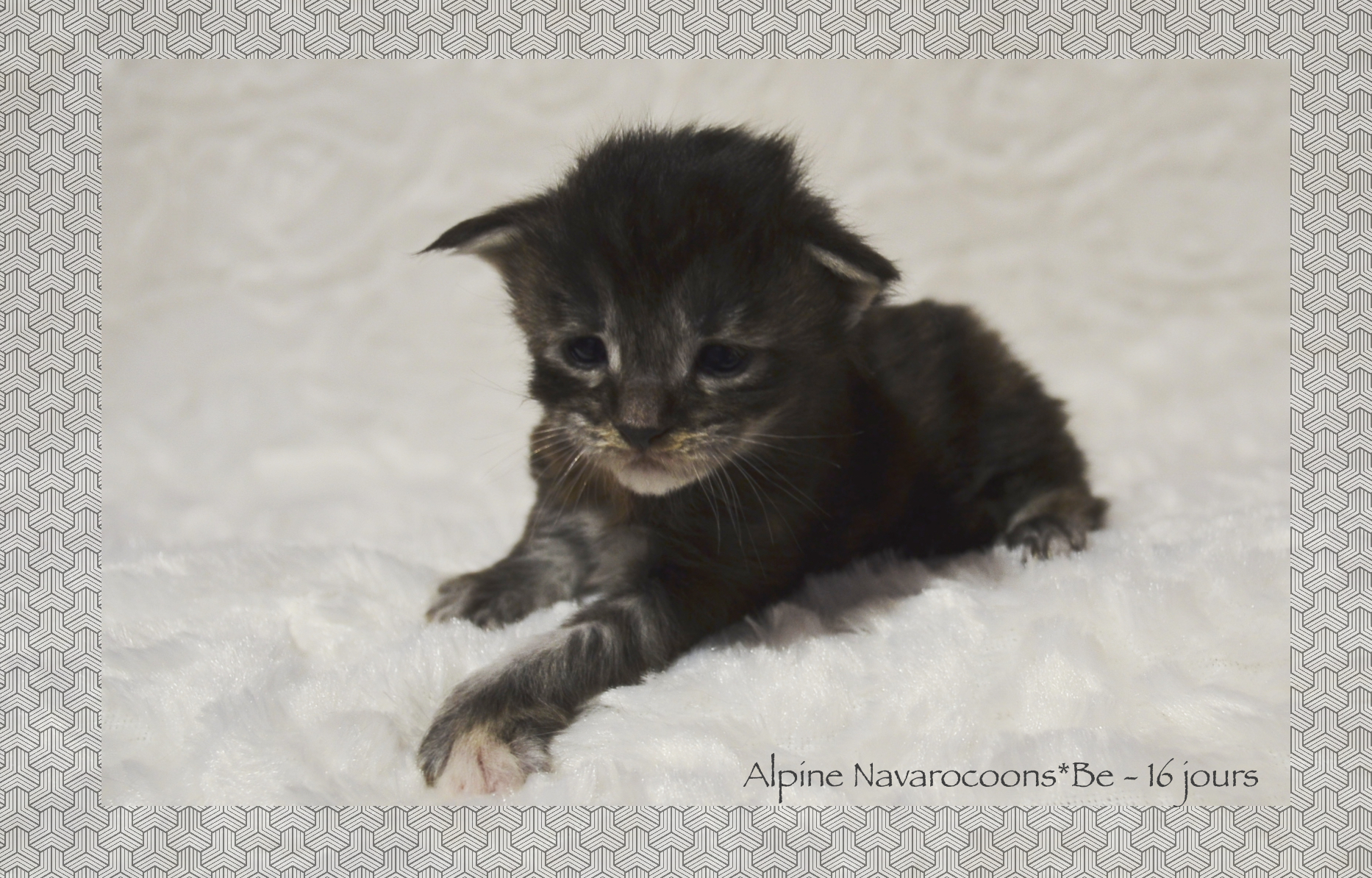 _DSC0038AAk