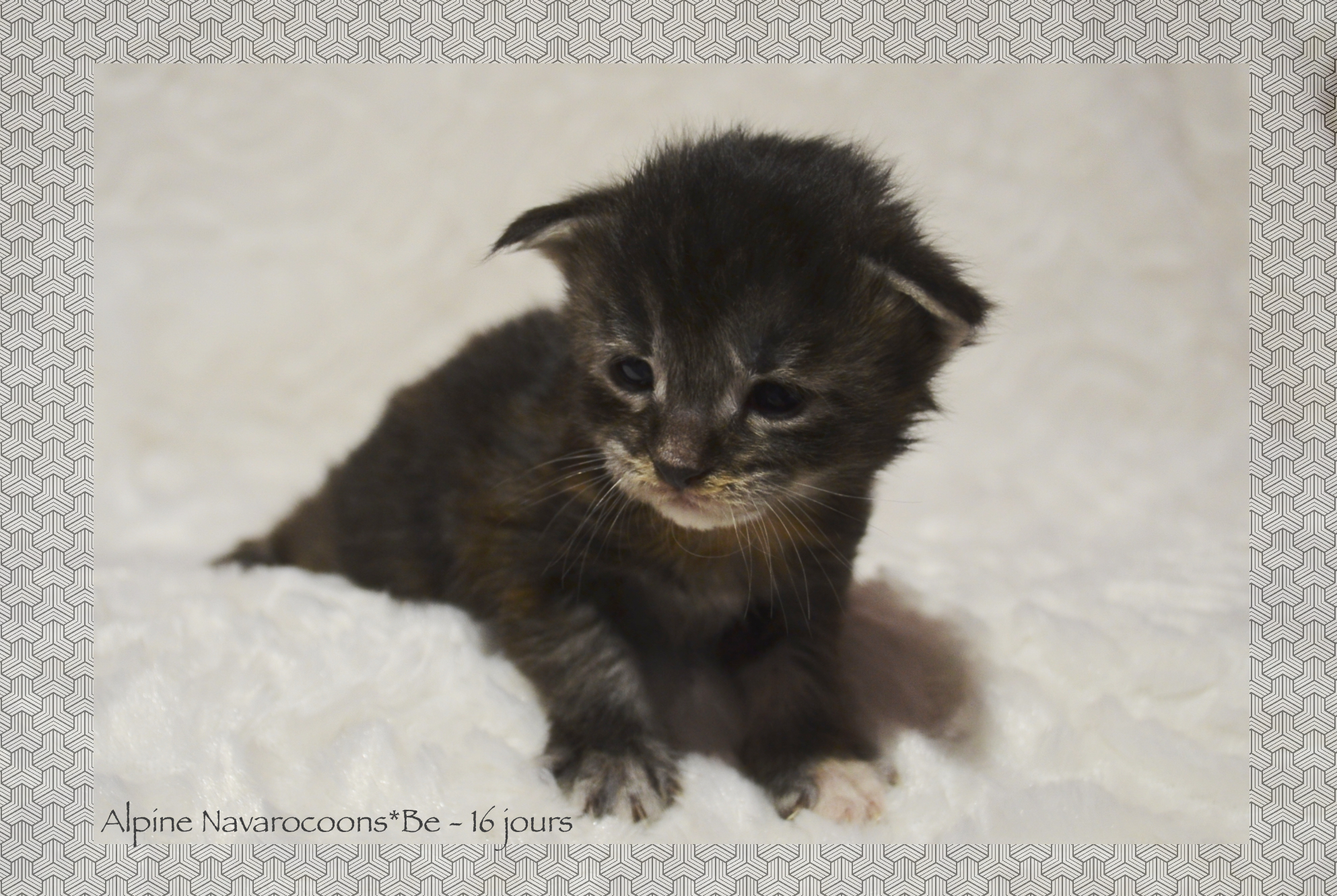 _DSC0048AAk