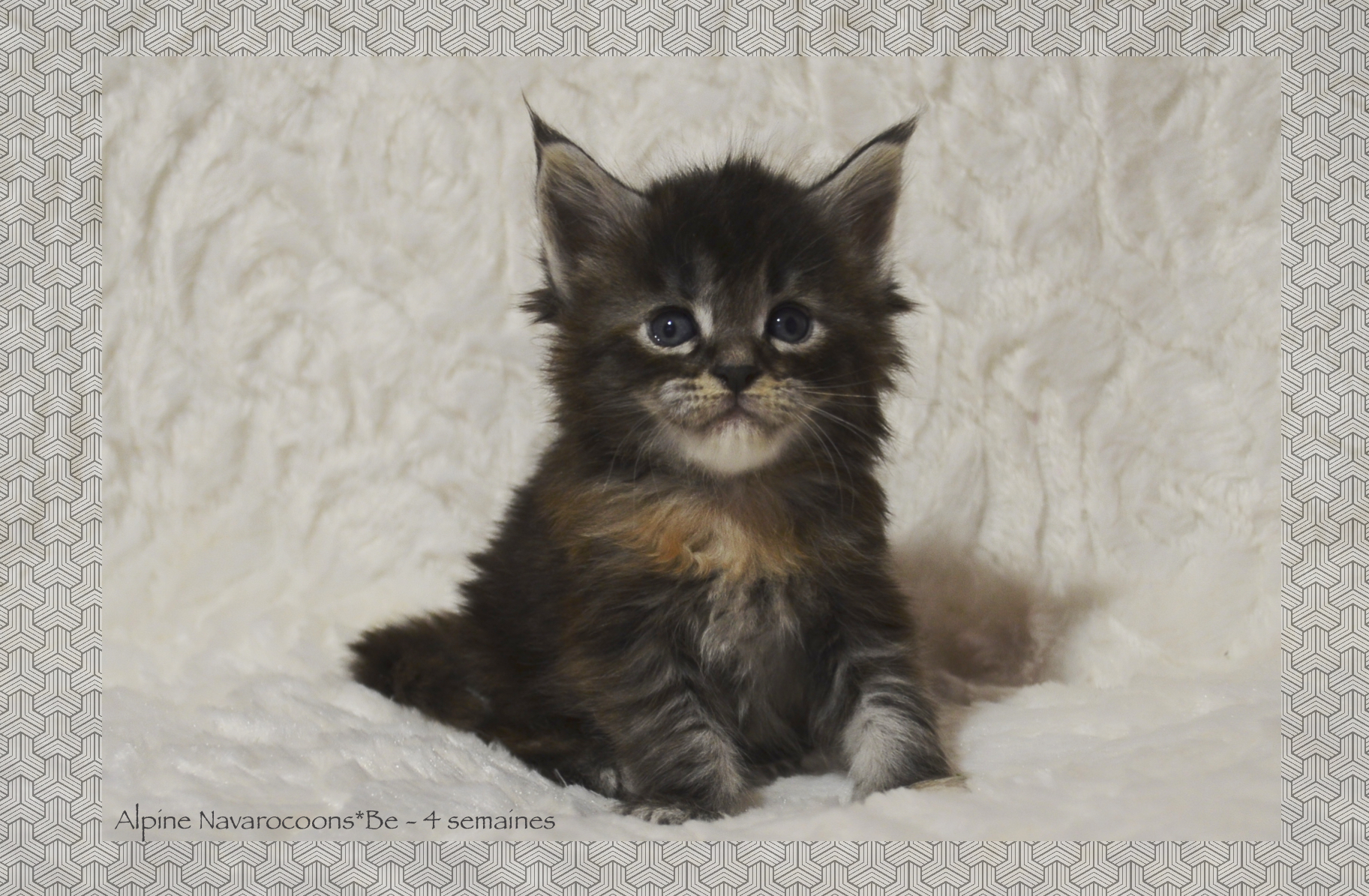 _DSC0032AAk