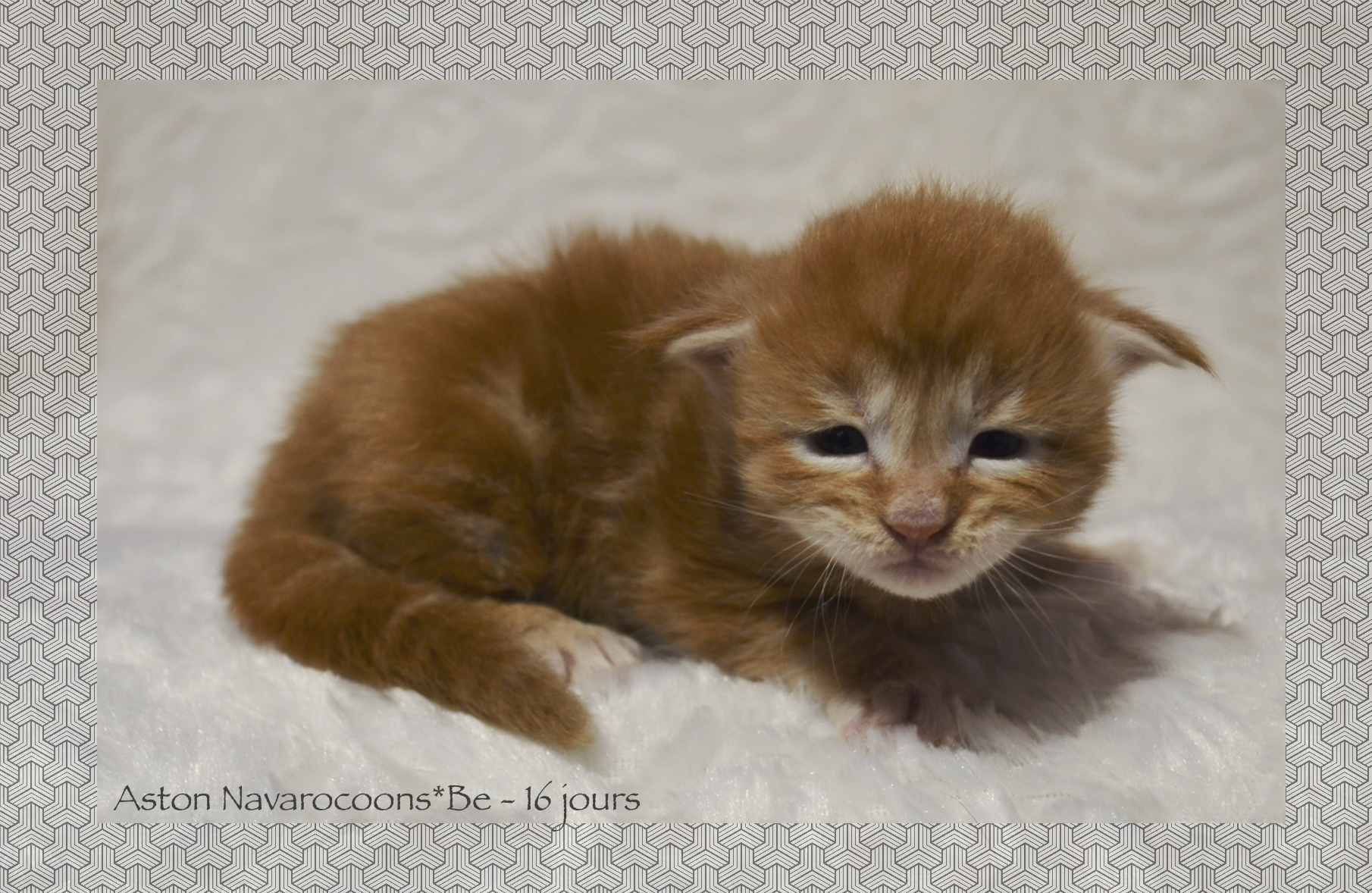 _DSC0059AAk