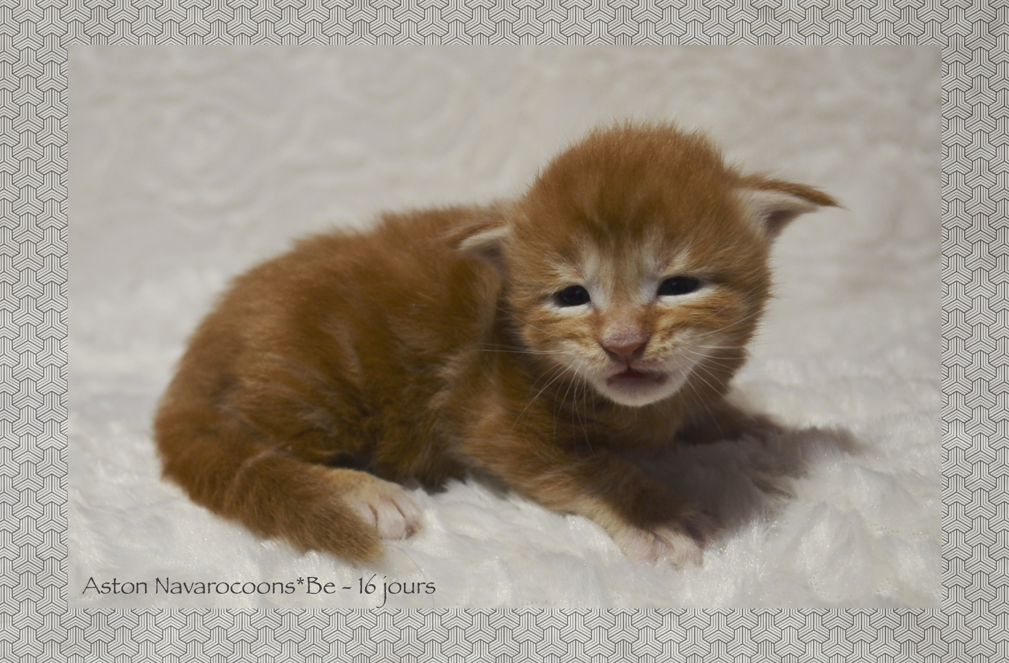 _DSC0066AAk