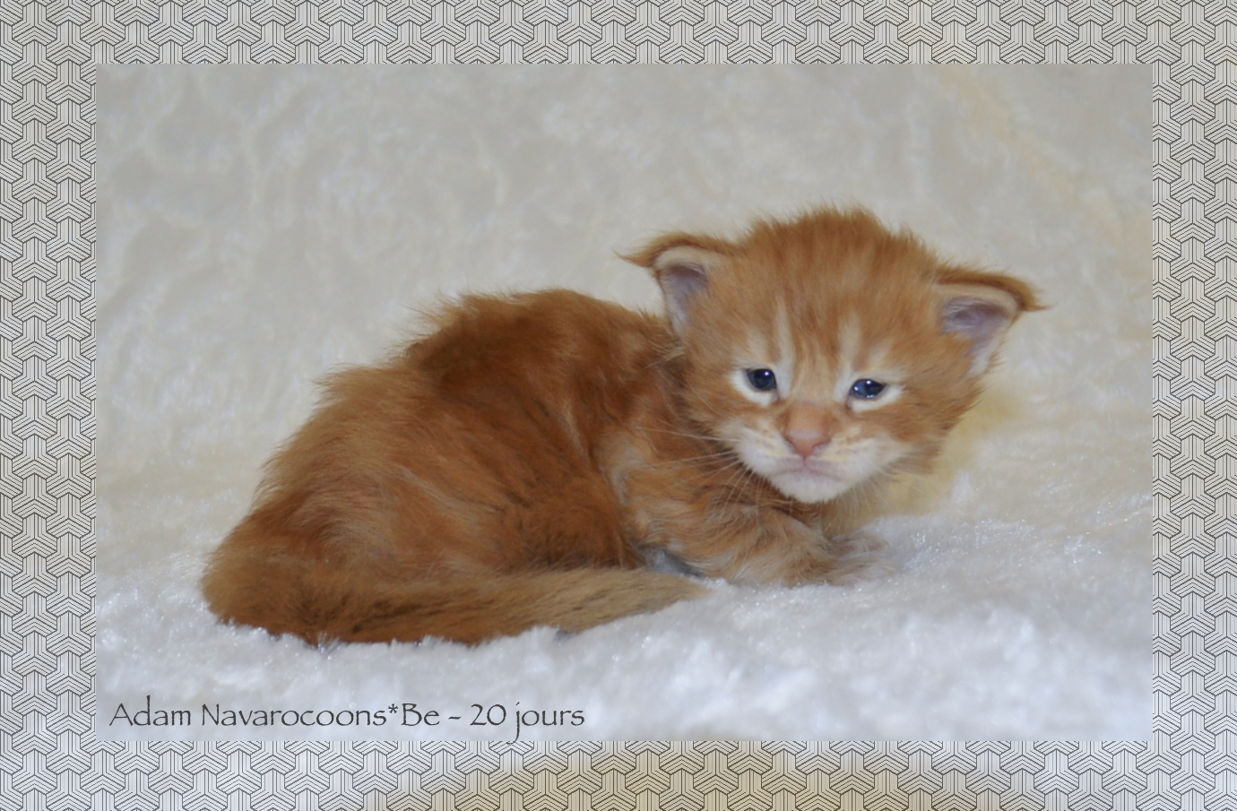 _DSC0092AAKK