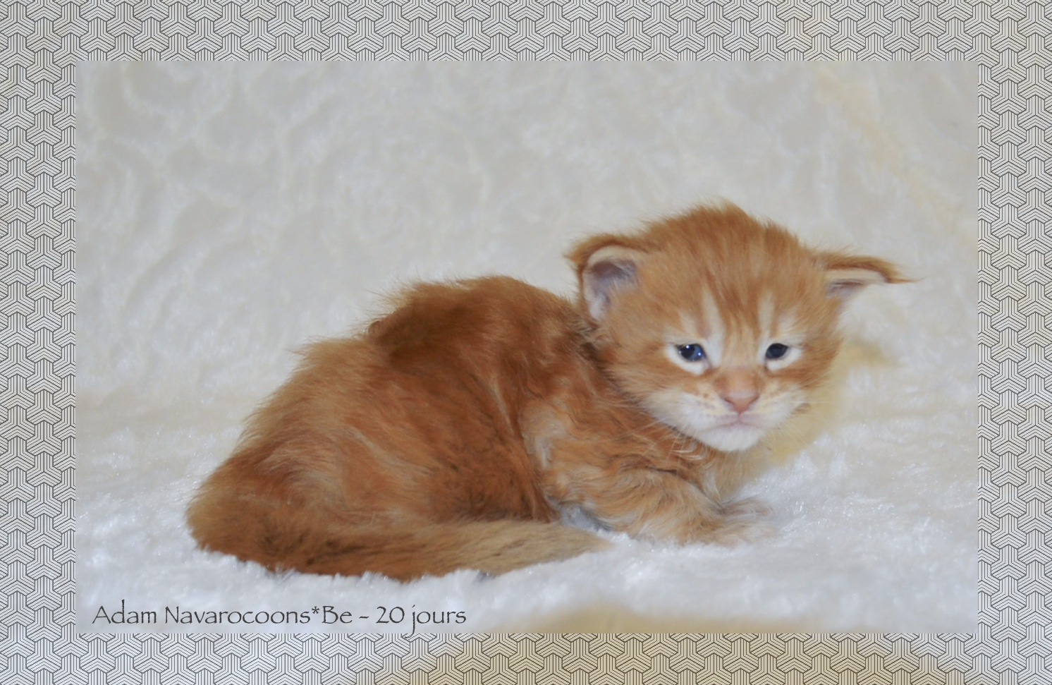 _DSC0094AAKK