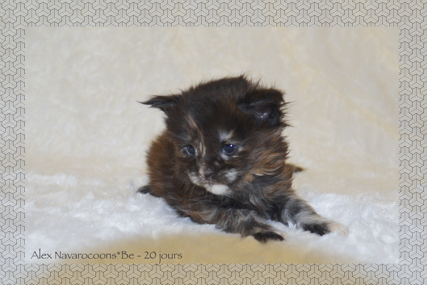 _DSC0104AAKK