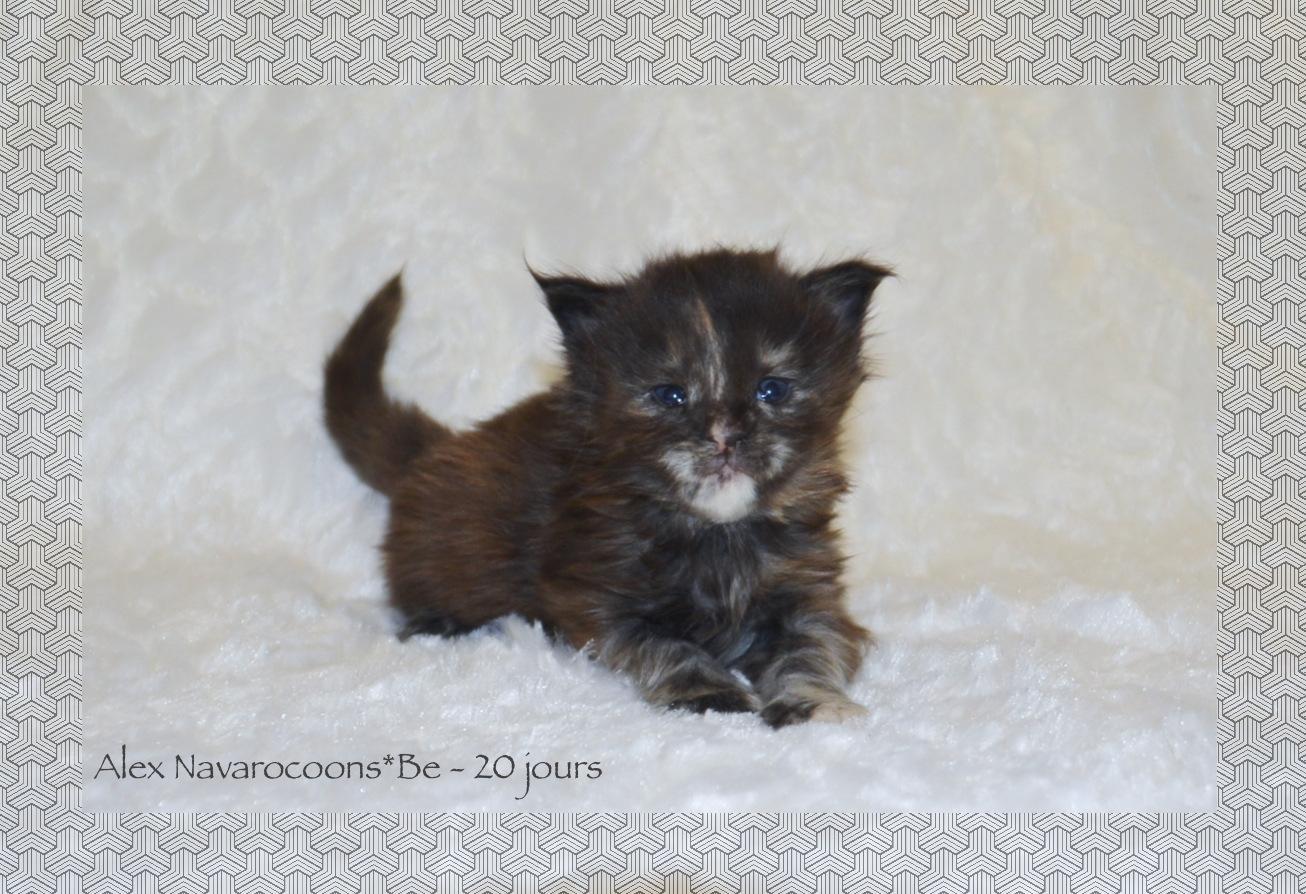_DSC0059AAk