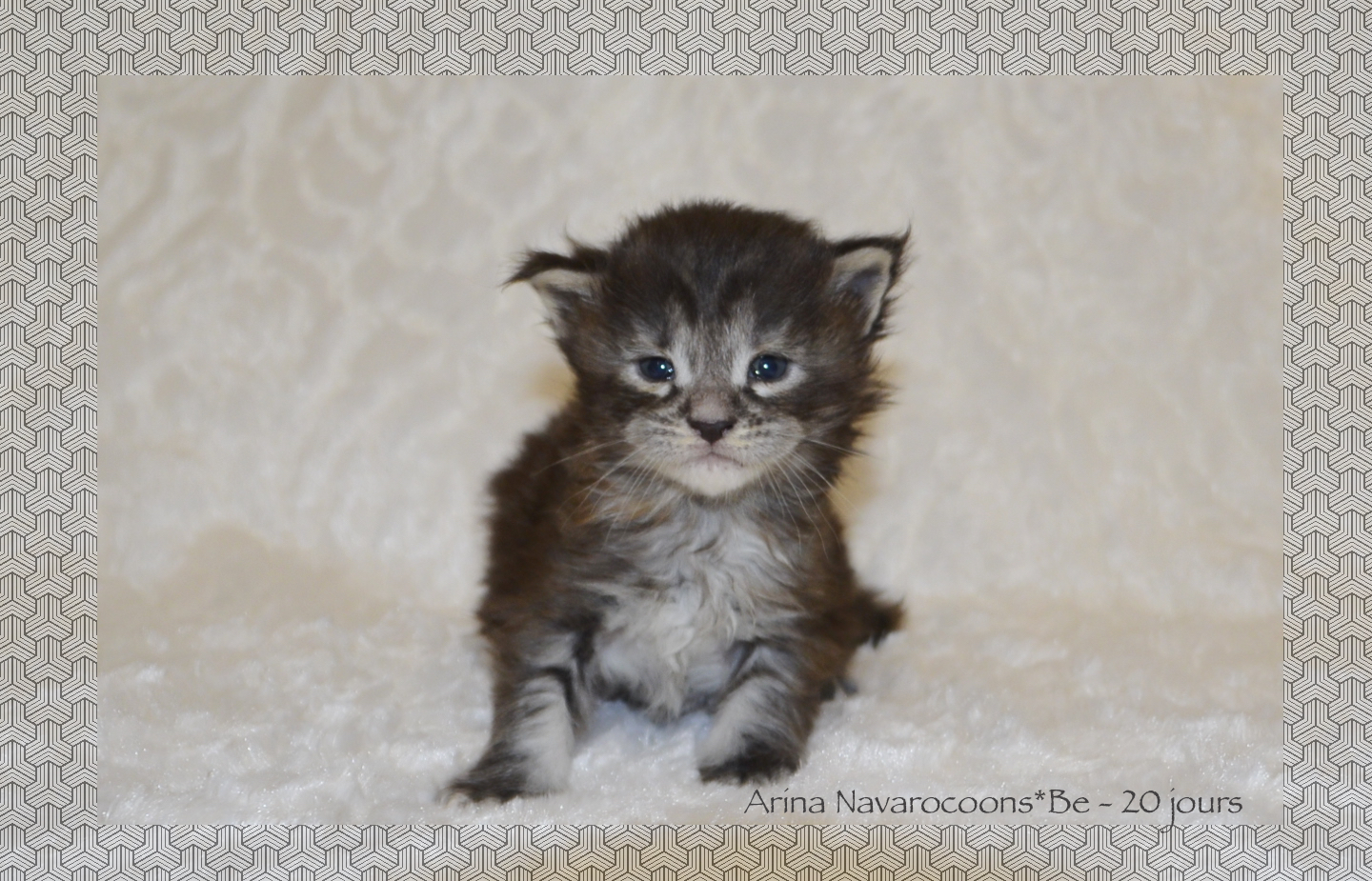 _DSC0032AAk