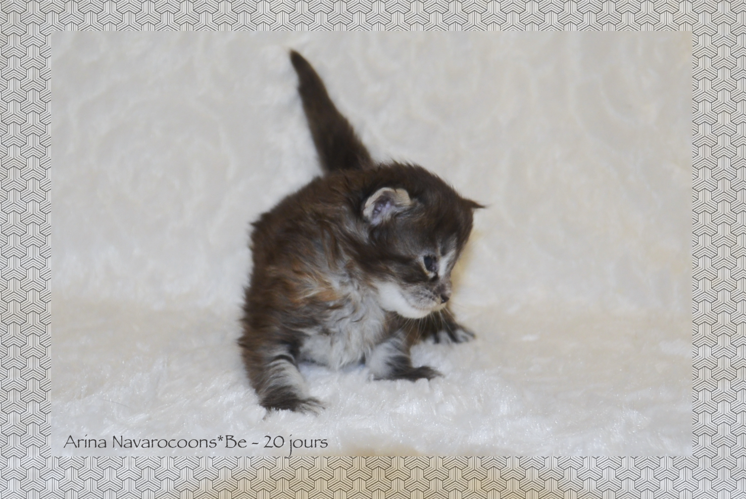 _DSC0119AAKK