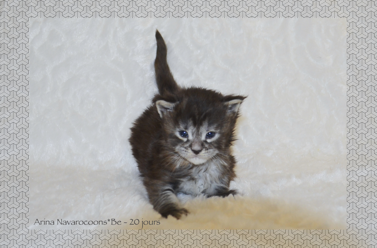 _DSC0120AAKK
